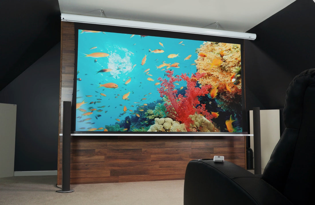 Beamer Leinwand vs. TV: ¿Cuál es la mejor opción para su hogar?