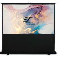 Usado - Estado: Como nuevo //EZ CINEMA - MaxWhite / 16:9 / 100" (222x125 cm)// B-F100NWH-254H00037